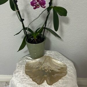 Beautiful seashell shaped decorative bowl